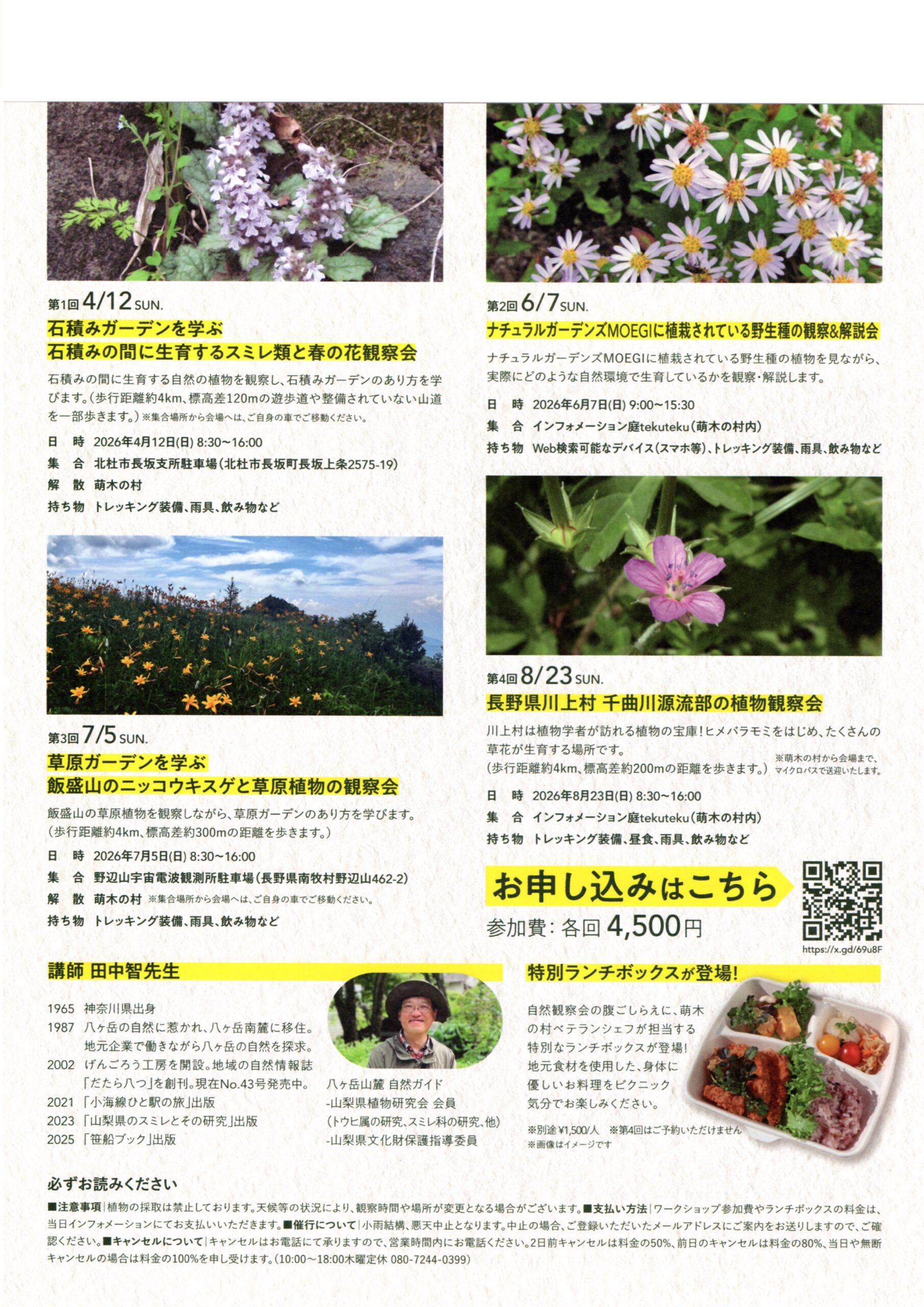 チラシ裏面