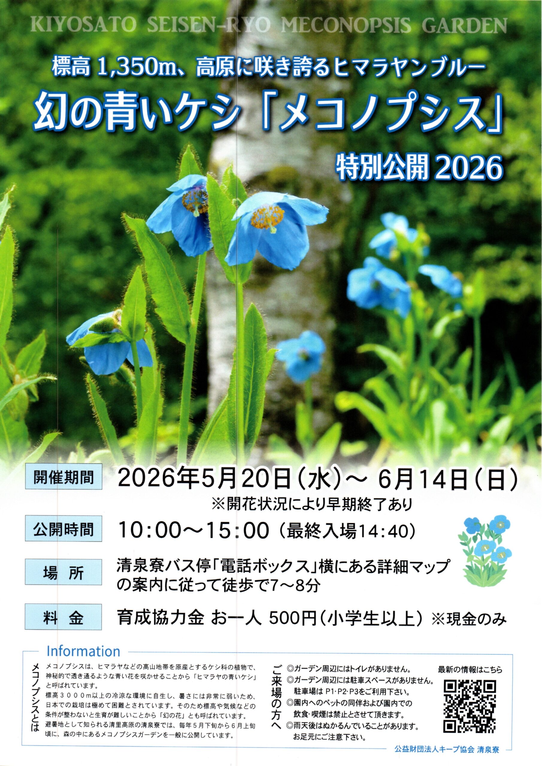 幻の青いケシ「メコノプシス」特別公開2026