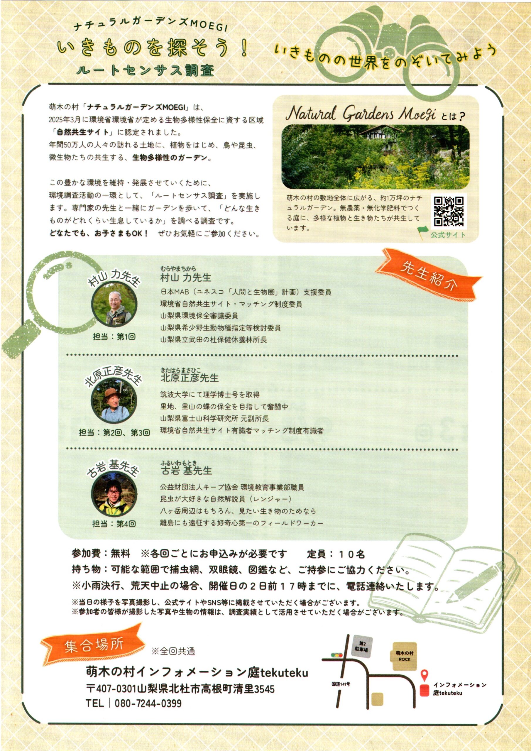 チラシ裏面