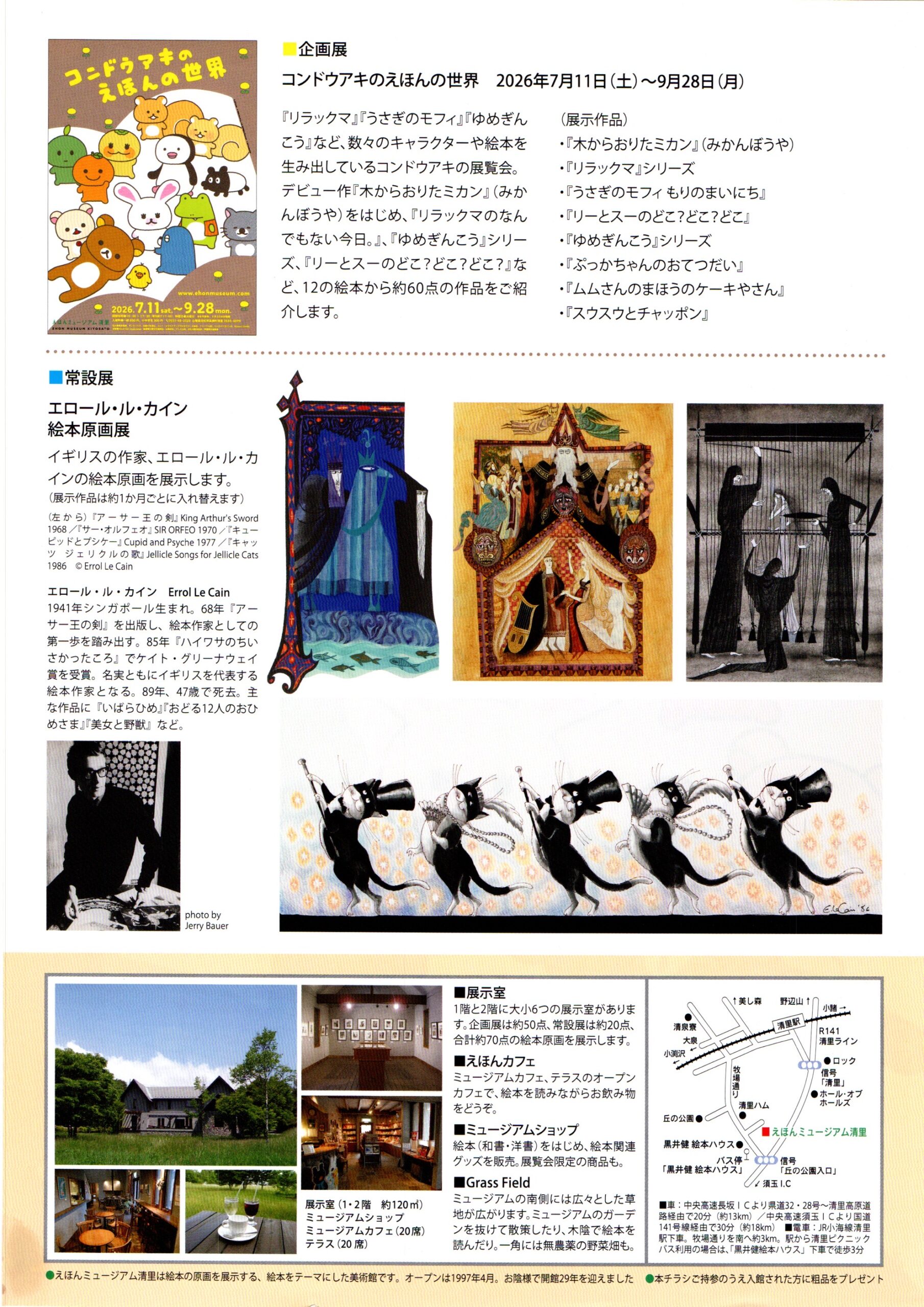 チラシ裏面