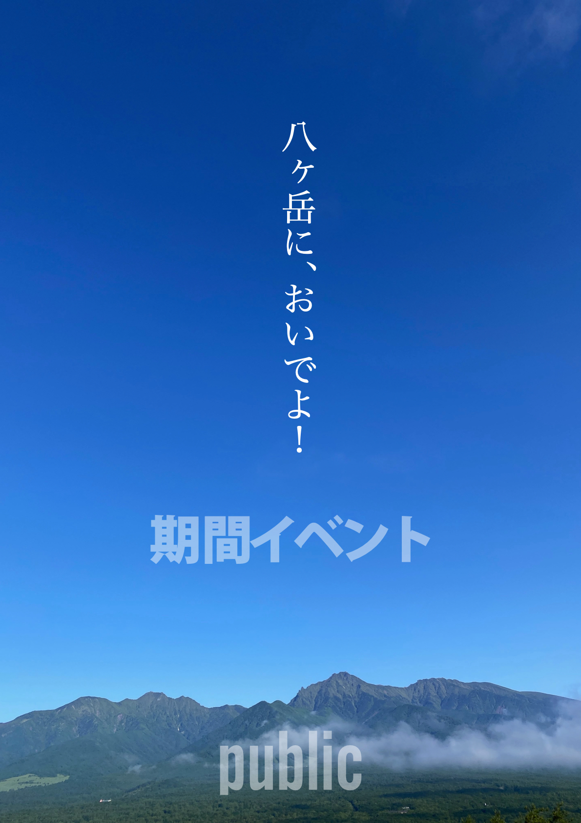 チラシ表面