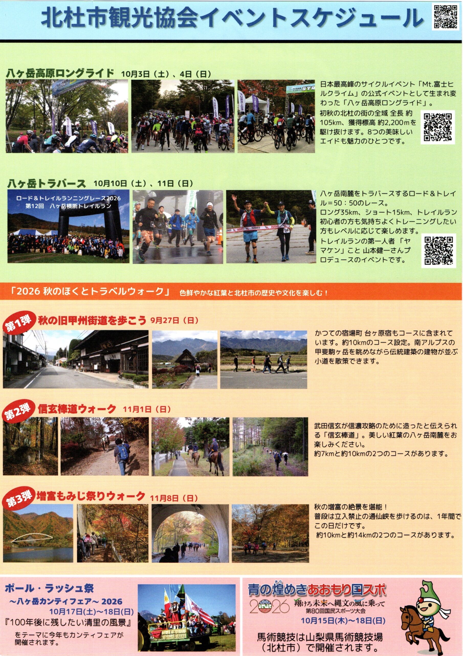 チラシ裏面
