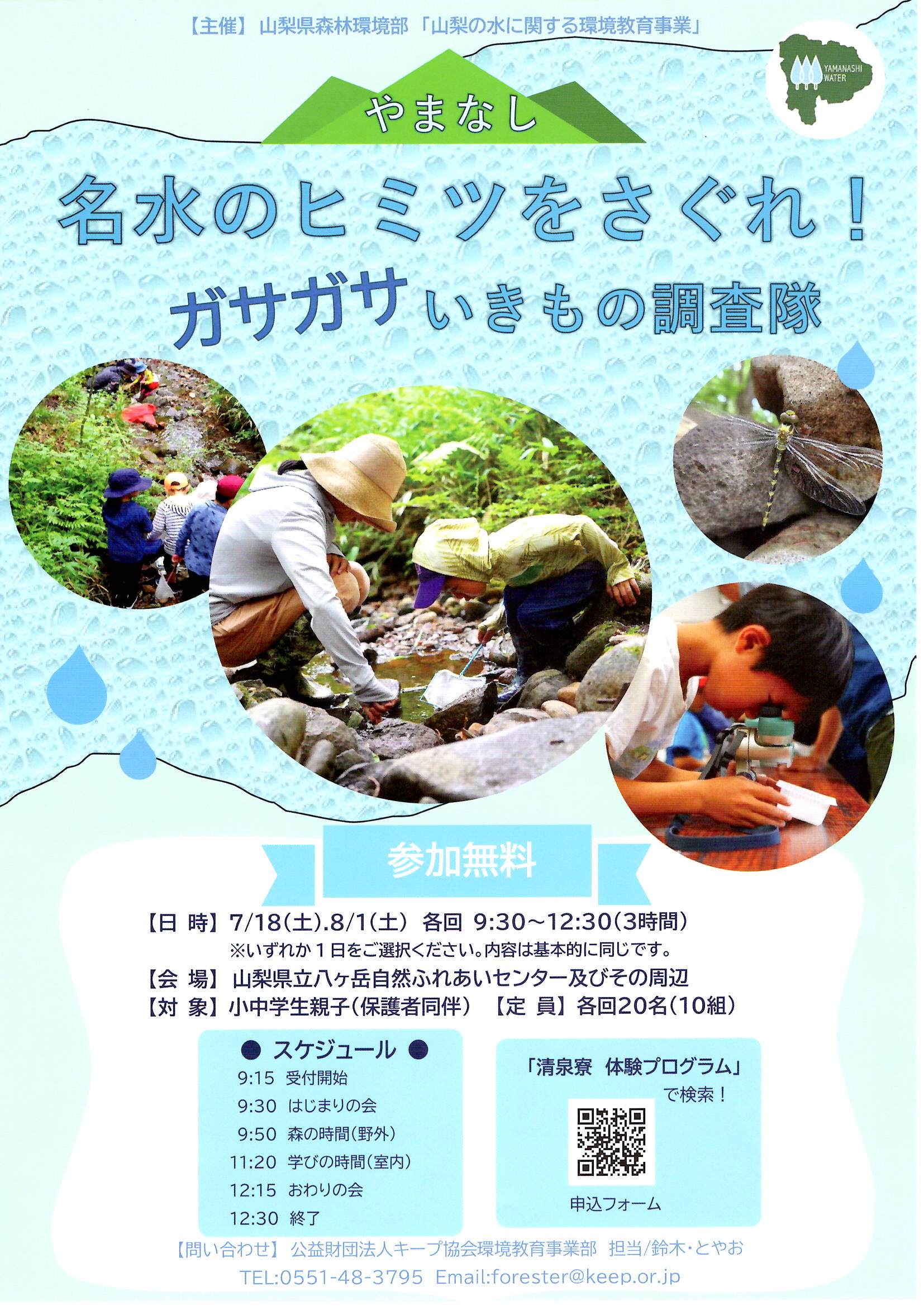 チラシ裏面