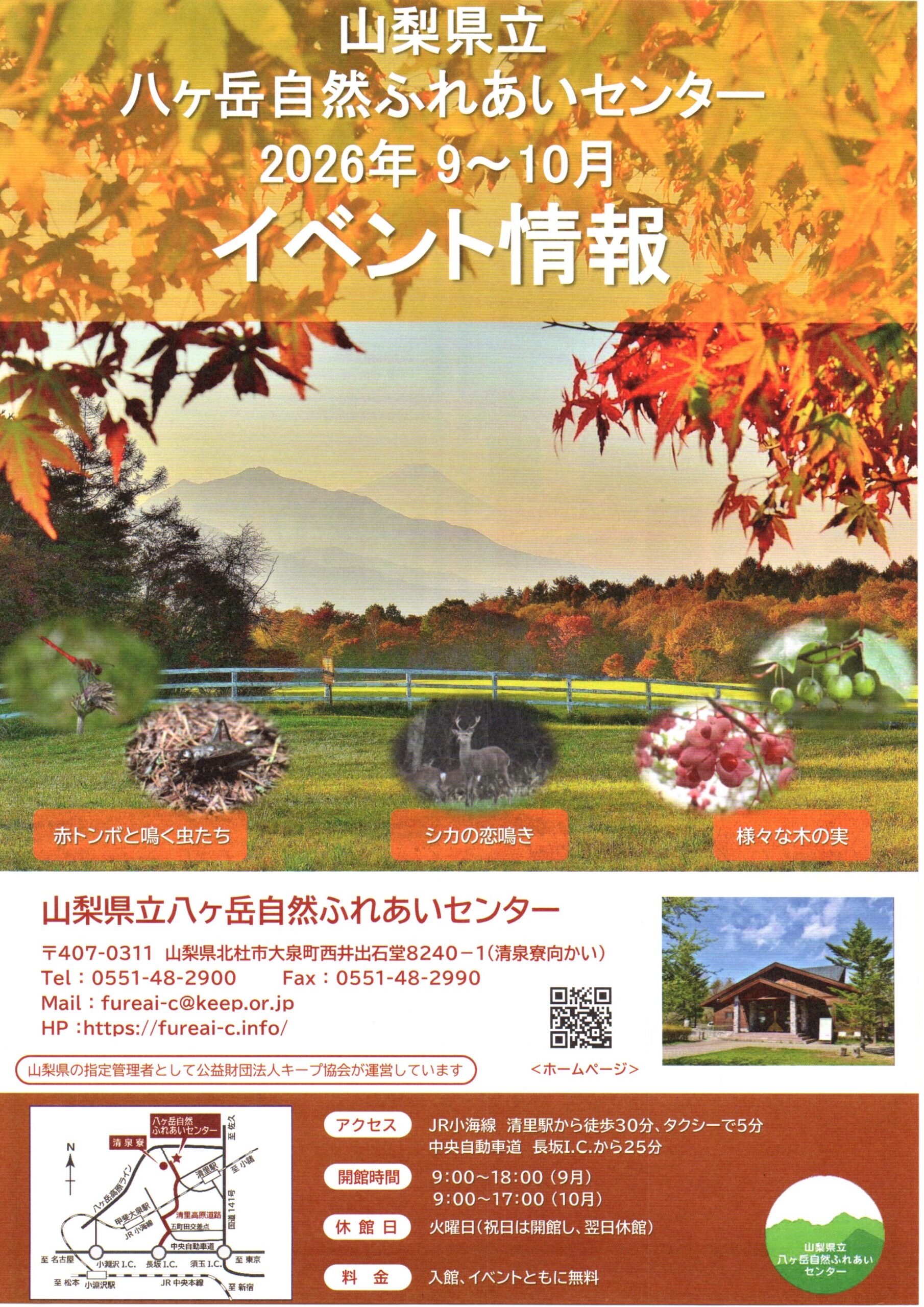 チラシ表面