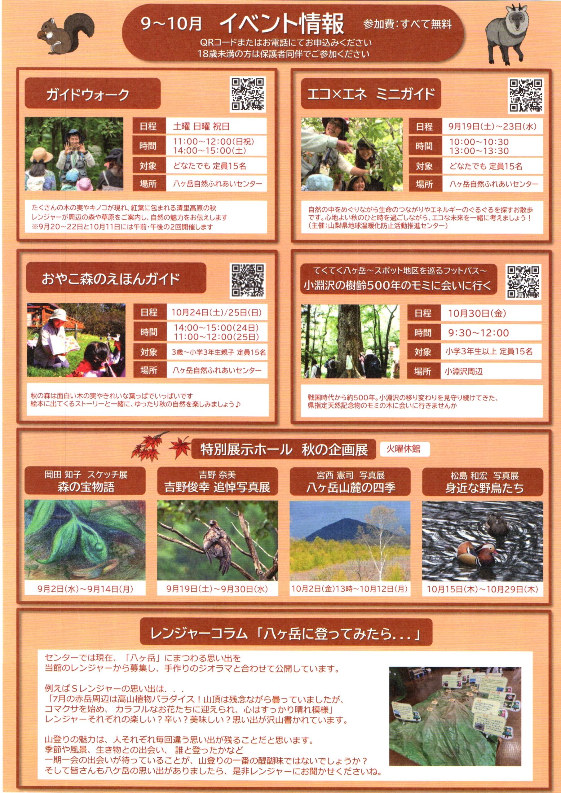 チラシ裏面