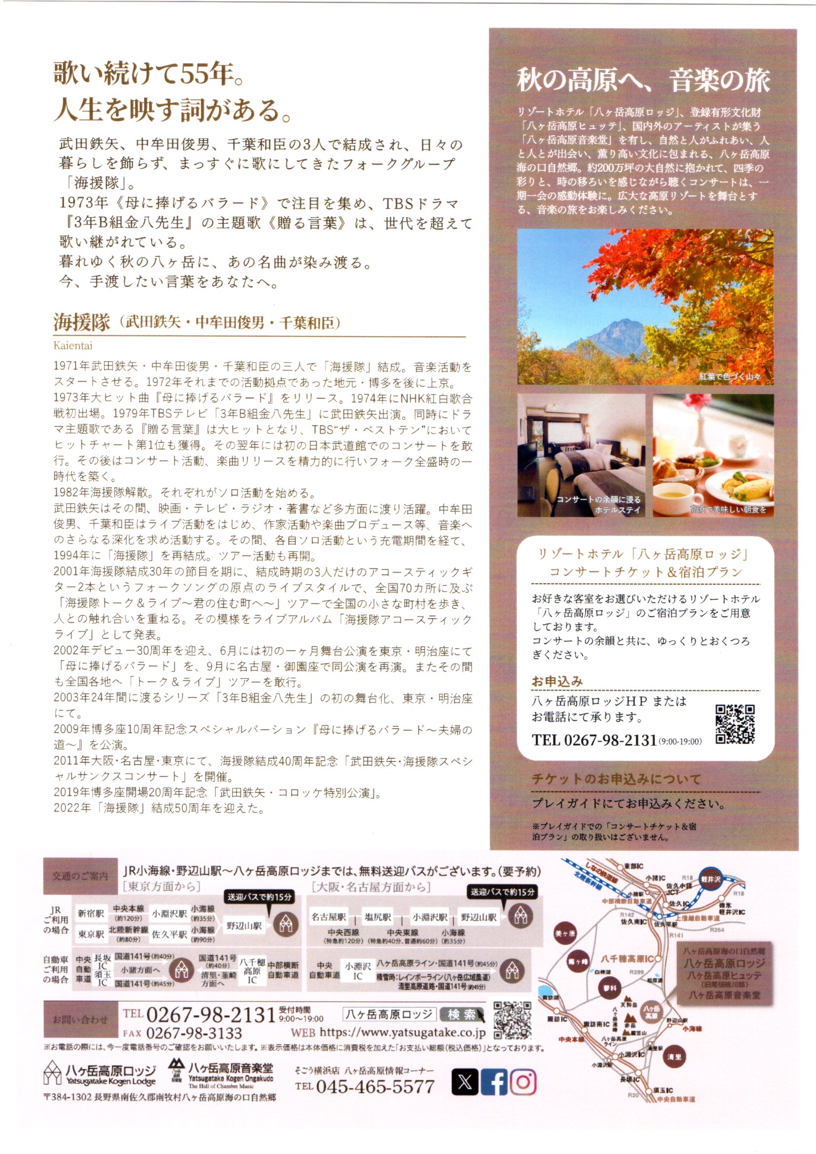 チラシ裏面